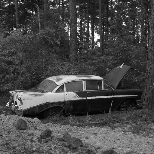 old car abandoned in a forest