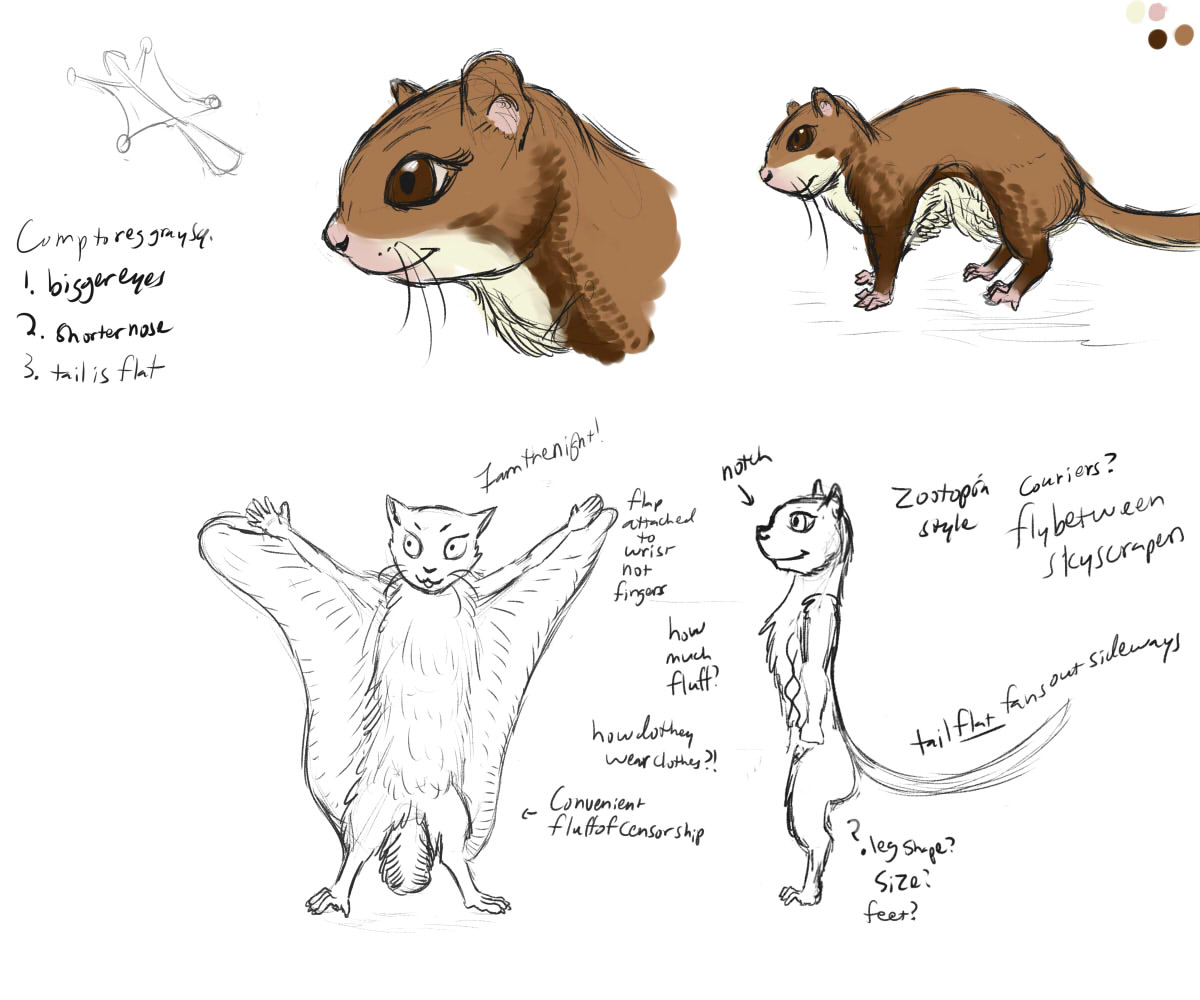 flying squirrel
