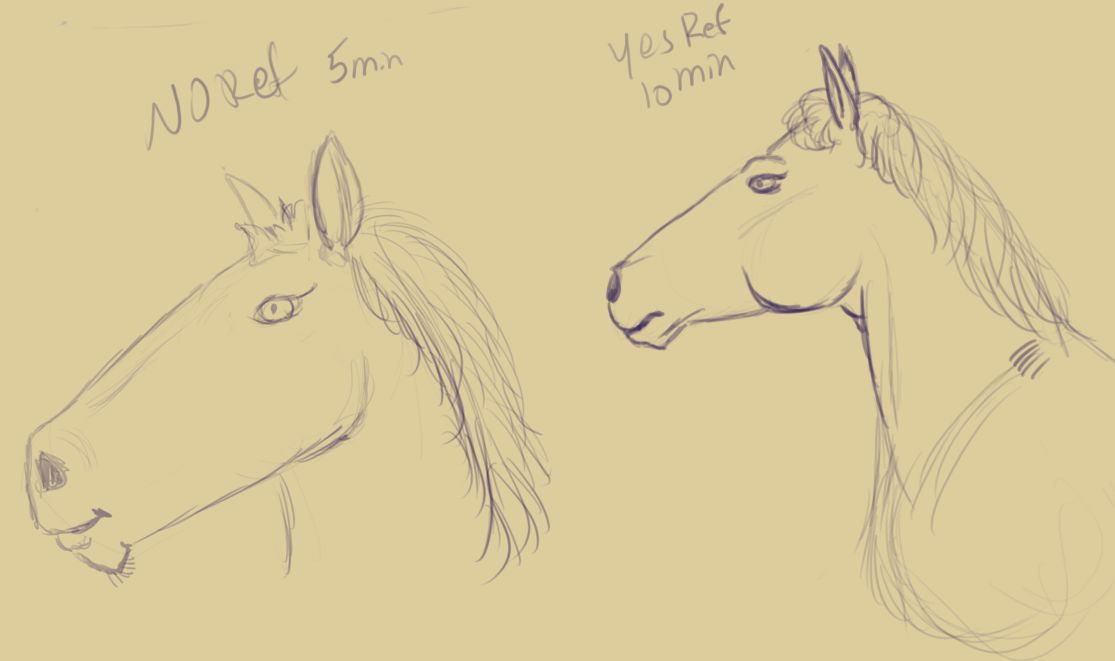 horse practice