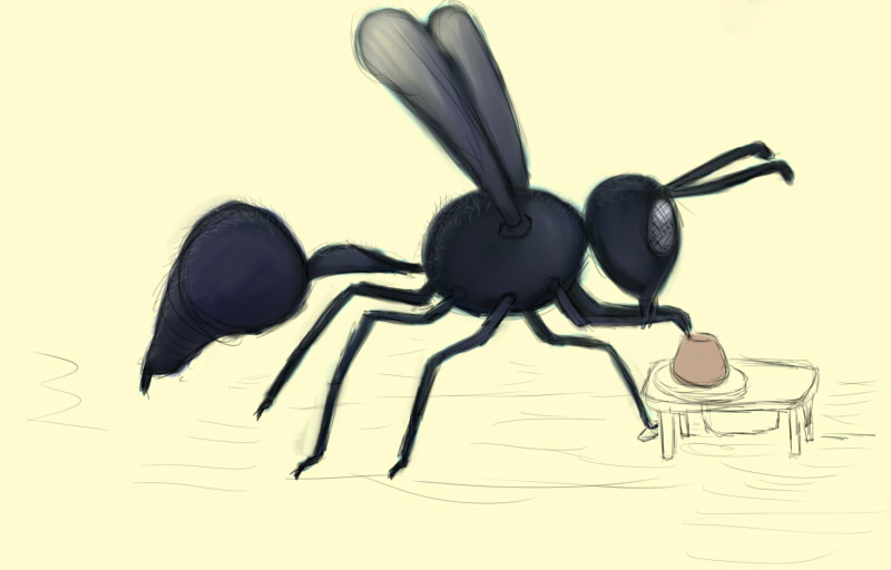 pottery wasp