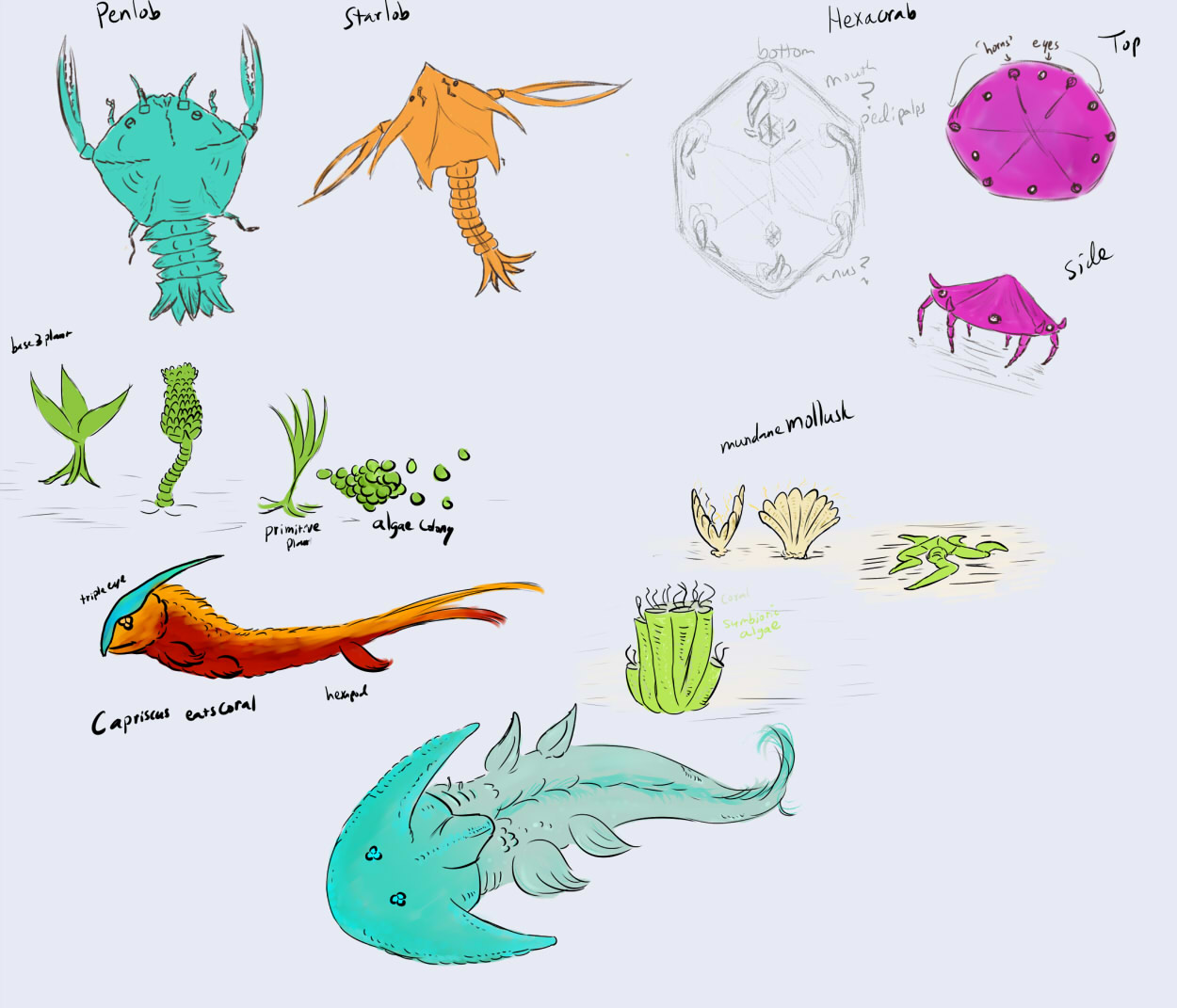 space fish