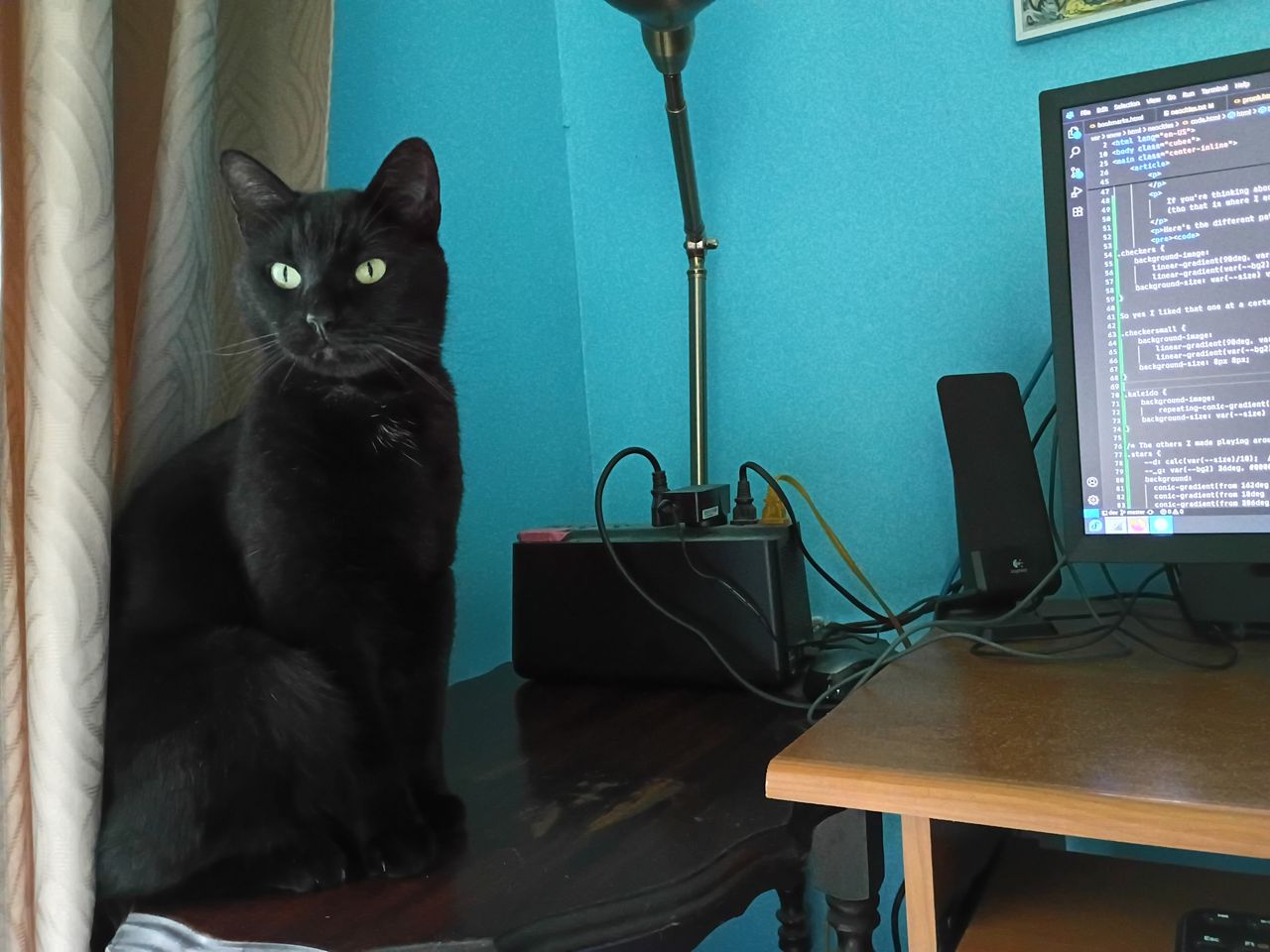 cat helping me code